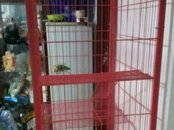 北京地区八成新猫咪用品组合优惠转让