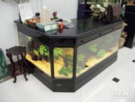 南山鱼缸护理与宠物食品购买指南