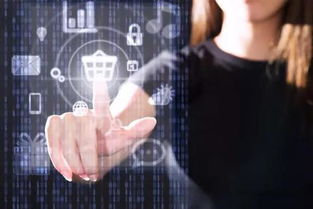 中小学人工智能课程设置 推广编程教育，开发应用软件，培育未来创新人才