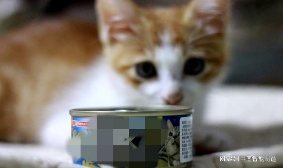 它经济风起，国产宠物食品品牌阵营持续壮大